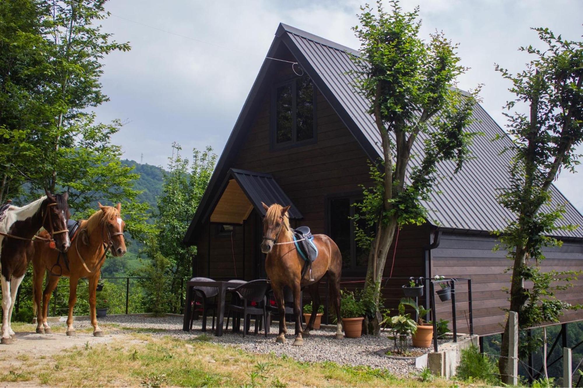 Kolkha Holiday home Sarpi